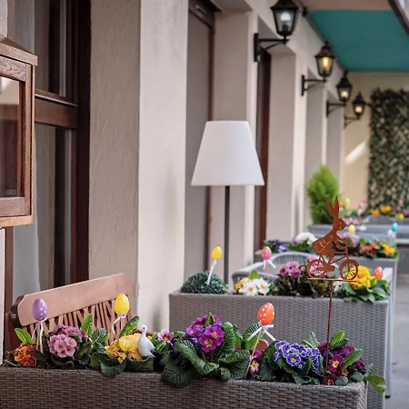 Hotel Le Rapp